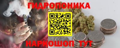 гидропоника Гагарин