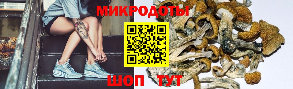 Галлюциногенные грибы Magic Shrooms  Галлюциногенные грибы ЛСД  Назрань  Вход с VPN 